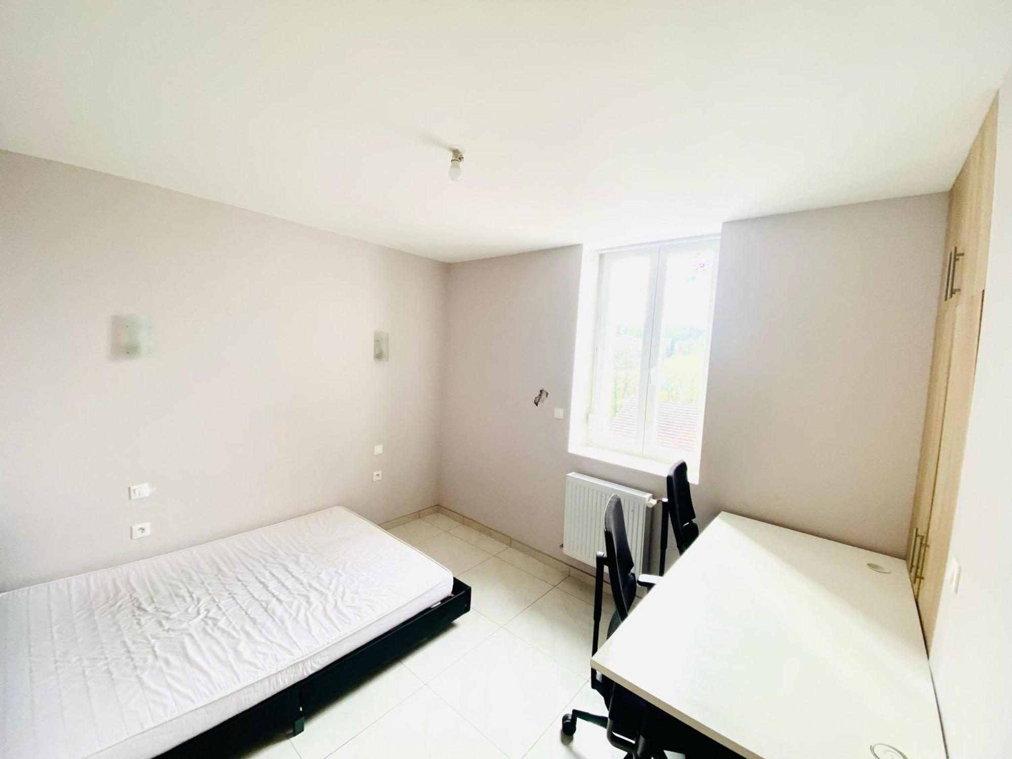 V4 - Chambre Double - 5 Minutes Du Luxembourg Apartment Villerupt Exterior photo